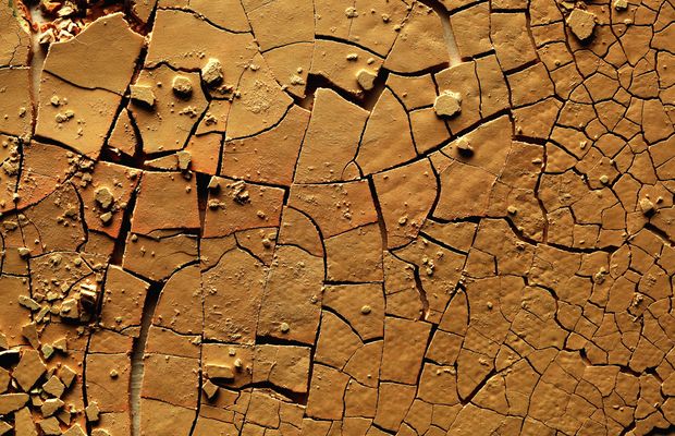 Dry clay soil split into plates