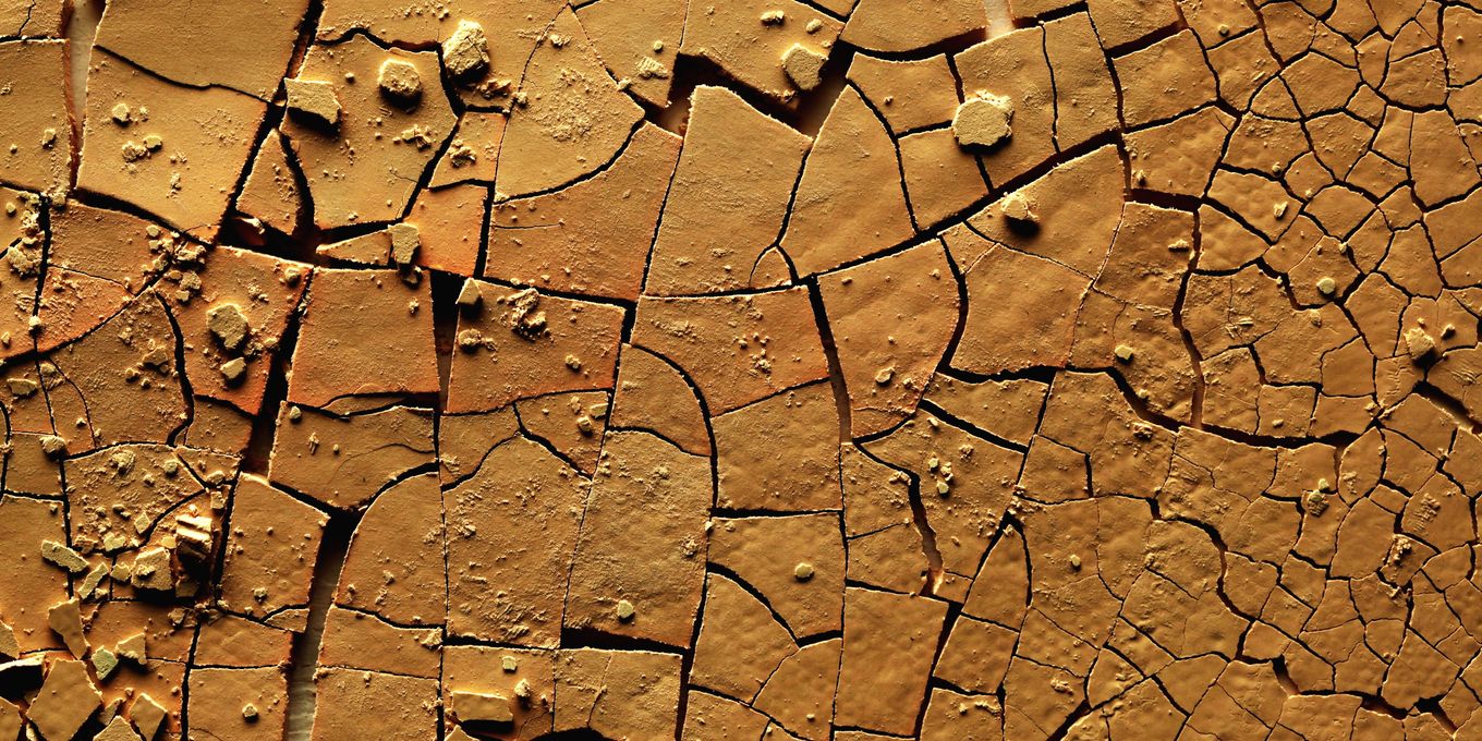 Dry clay soil split into plates