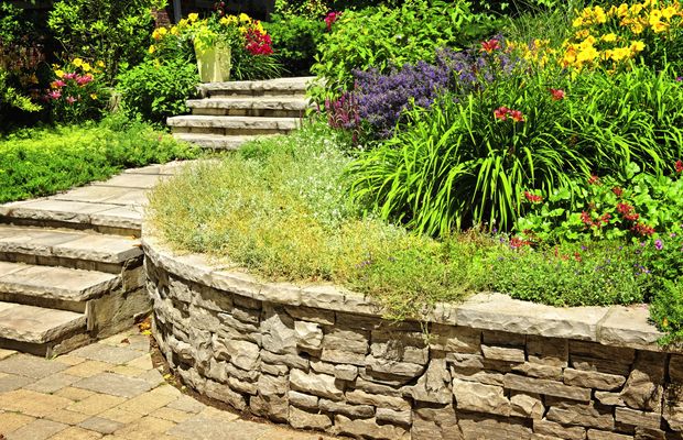 Stone steps and a curved retaining wall around a planted bed