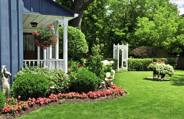 A front yard with a green lawn, shrubs and a bed of red flowers