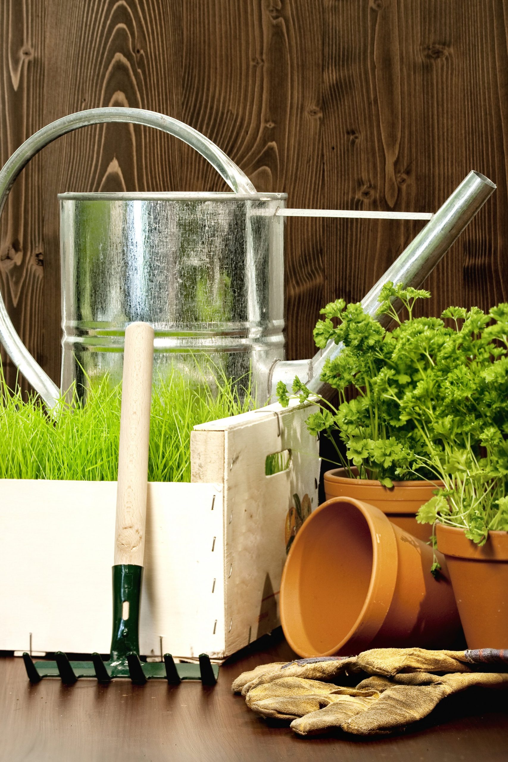 Garden conversion and turf