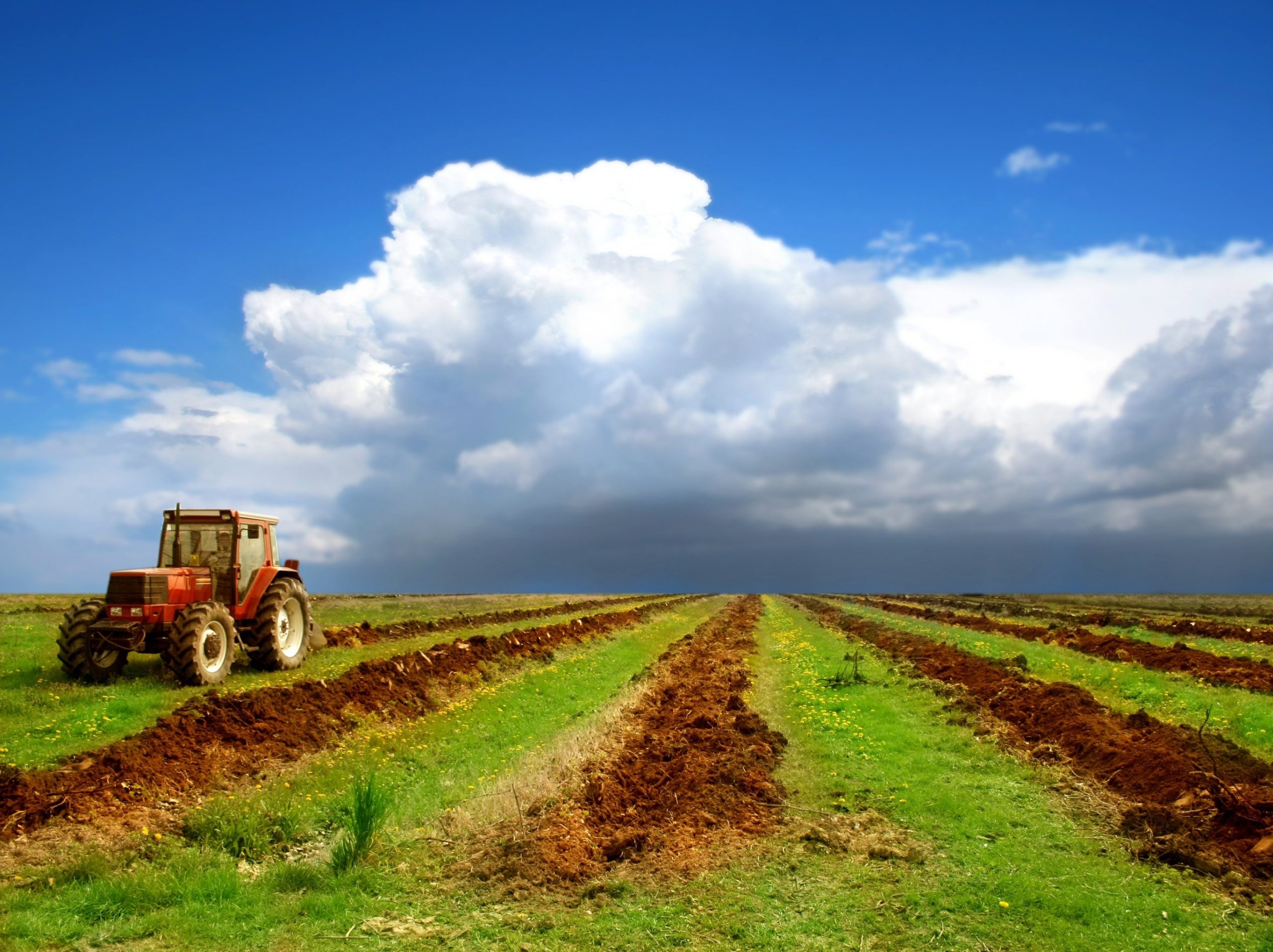 Agricultural infrastructure