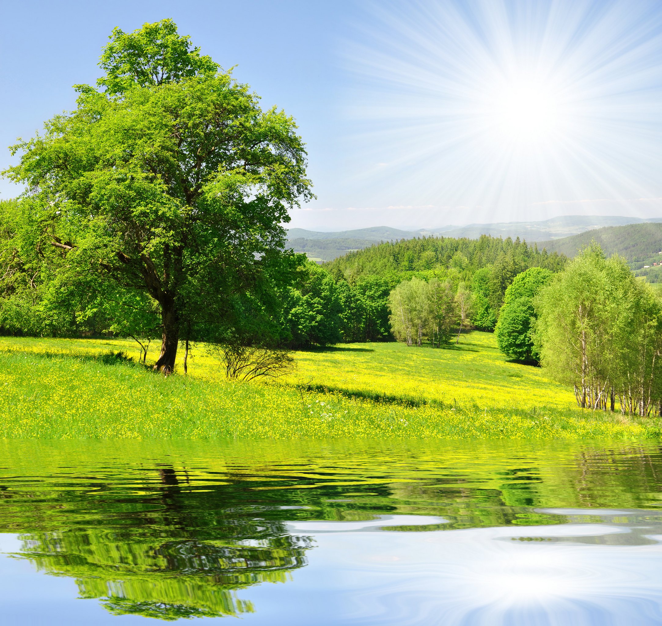 Landscaped grounds in spring