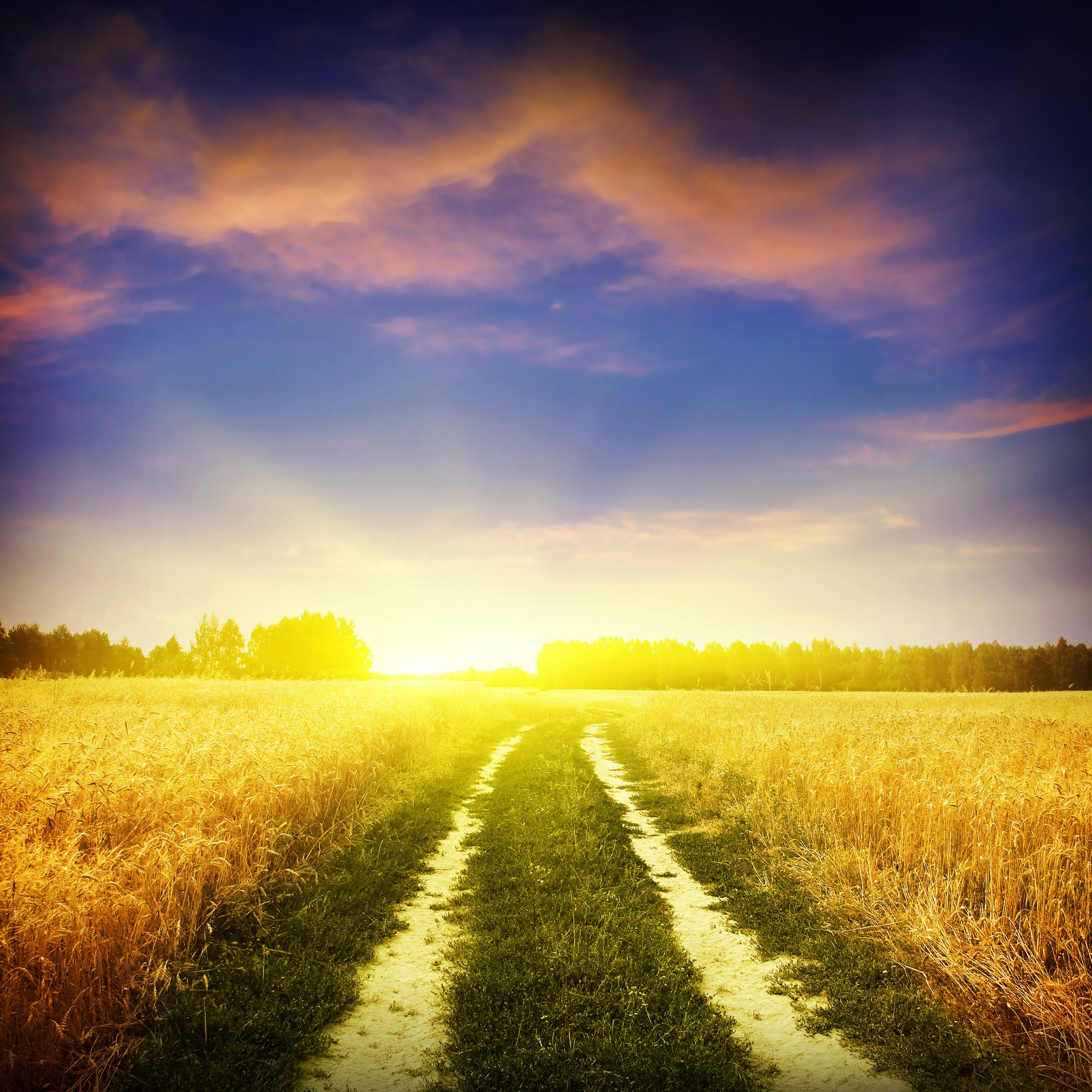 Rural infrastructure and supply