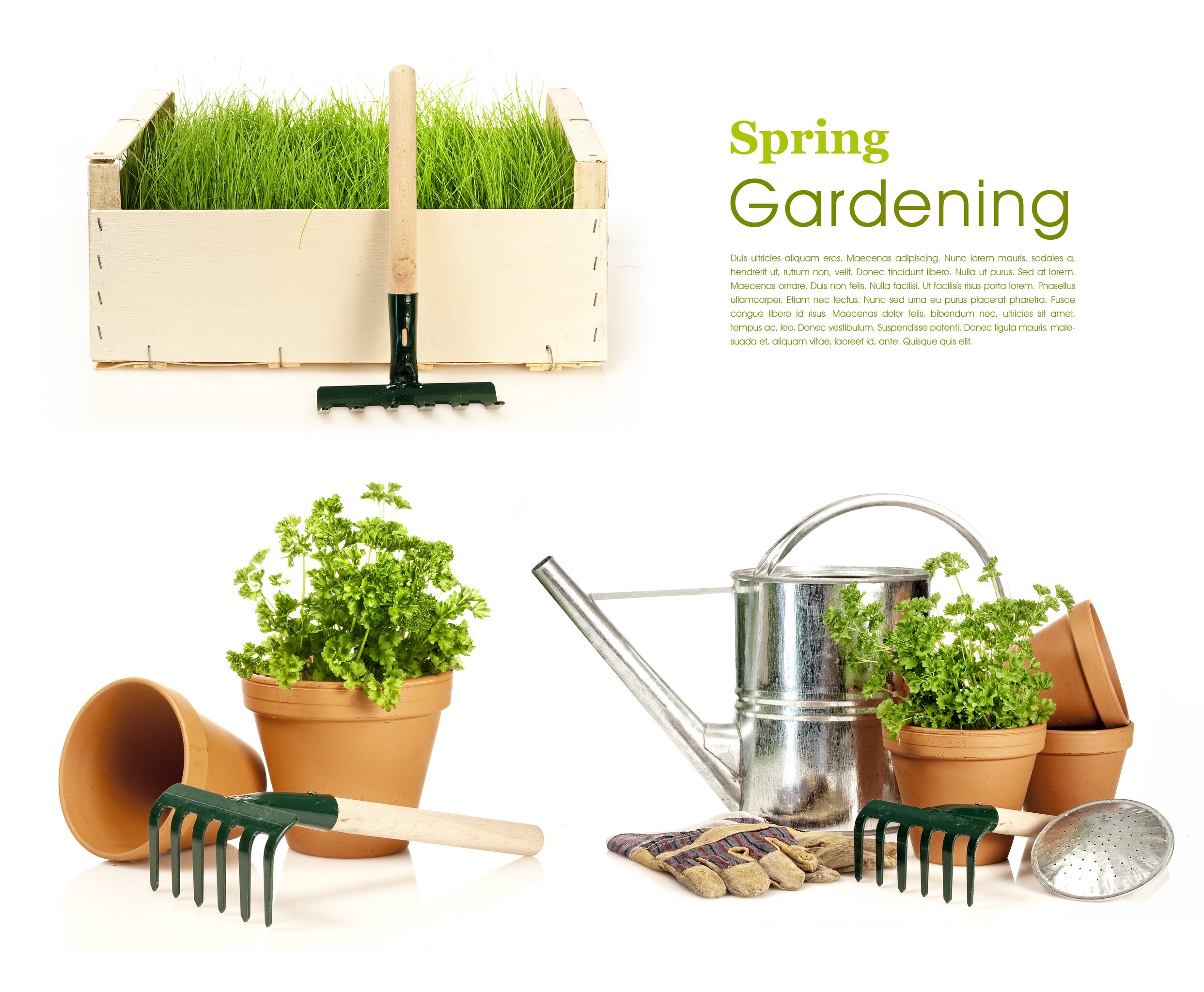 Irrigation fittings and supplies