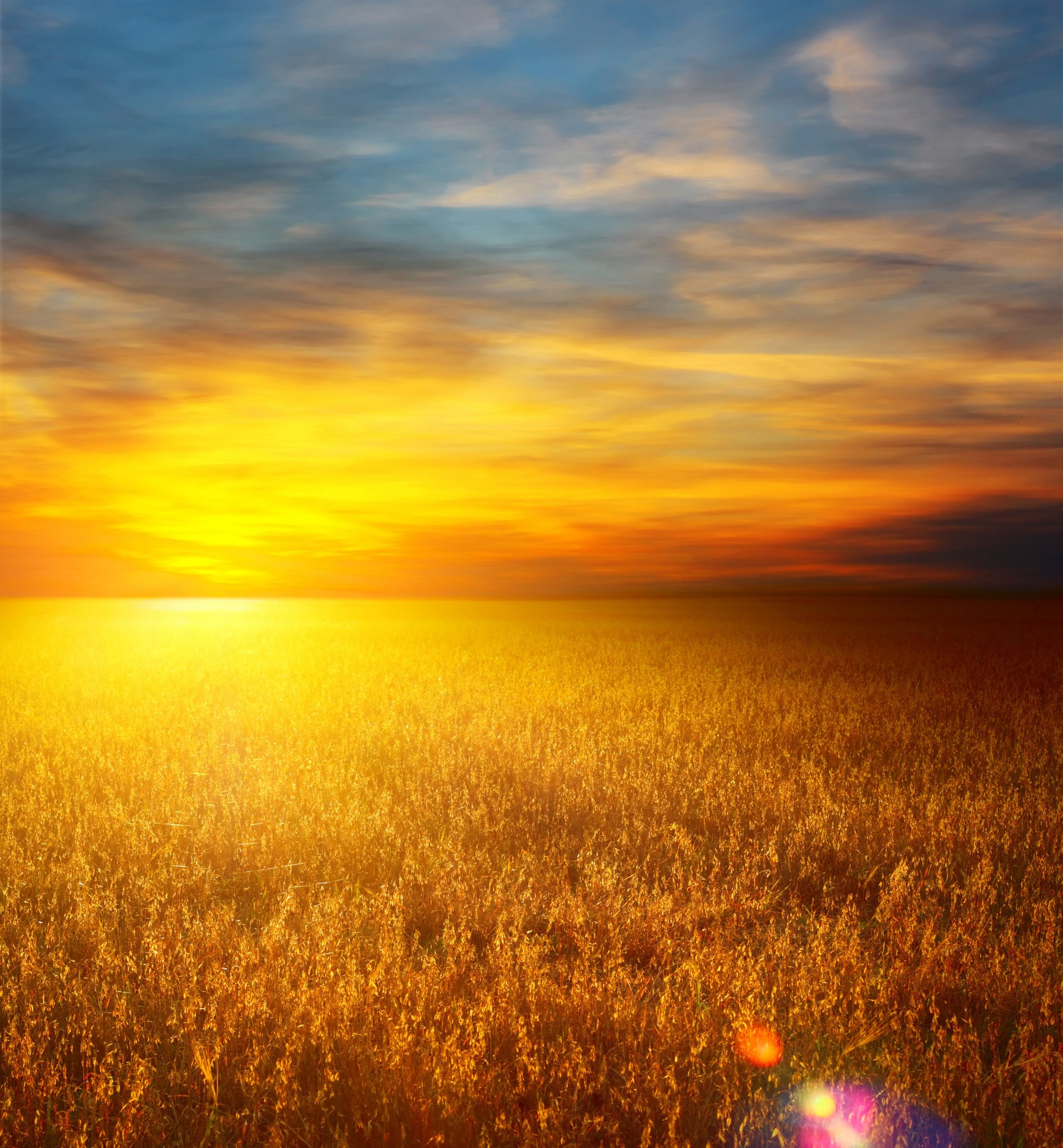 Solar panel landscape at sunset