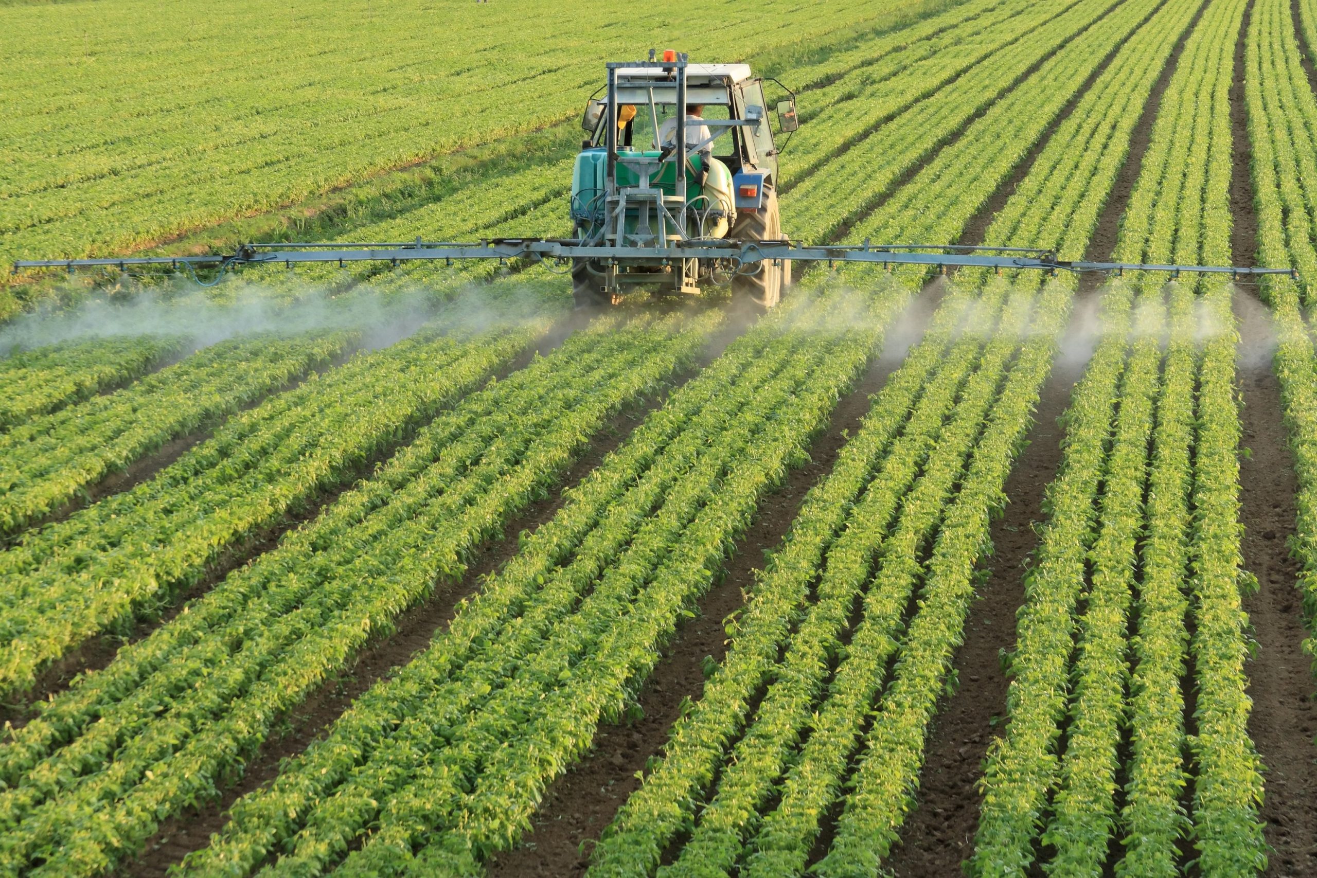 Modern agricultural operation