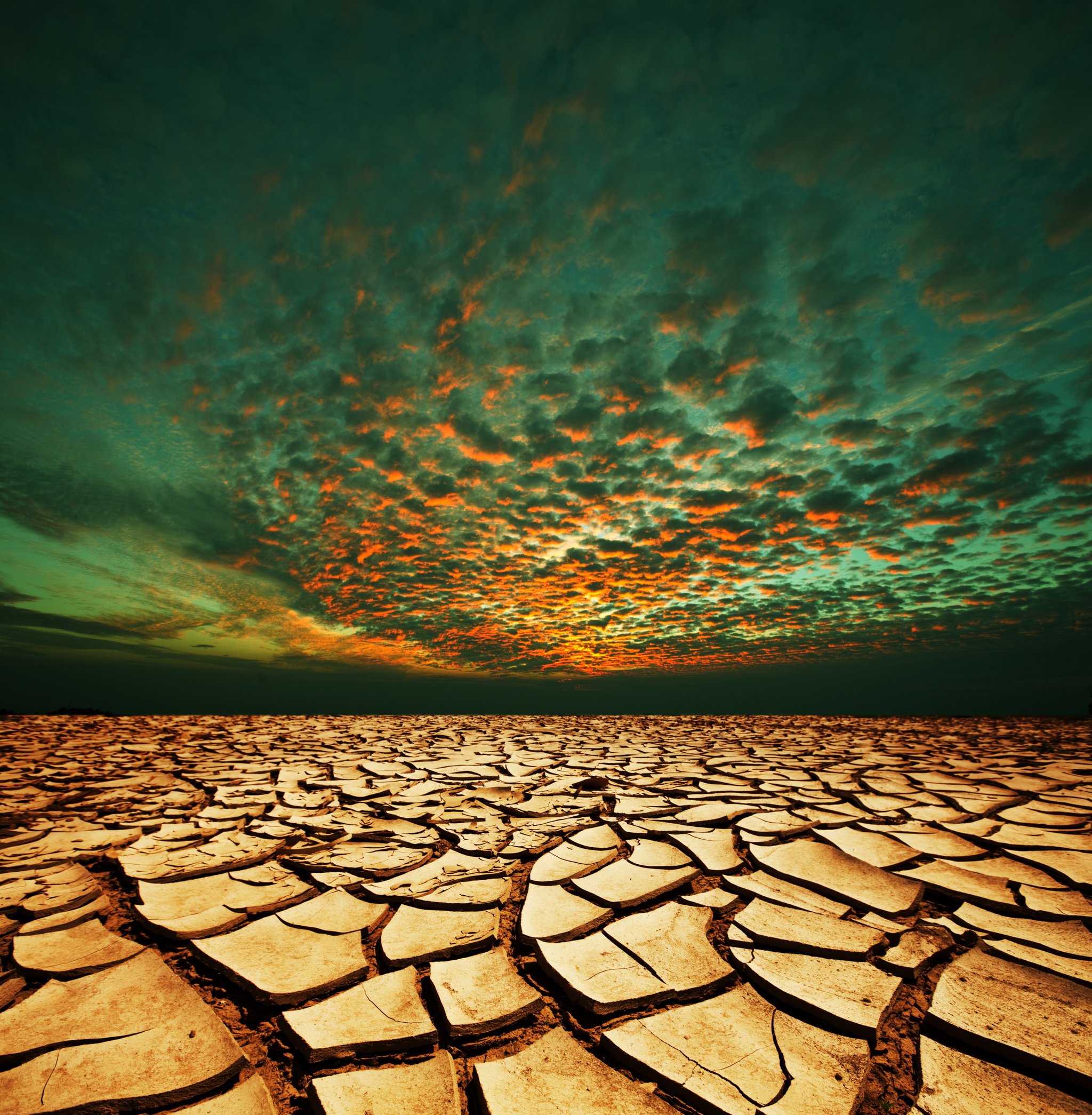 California drought landscape