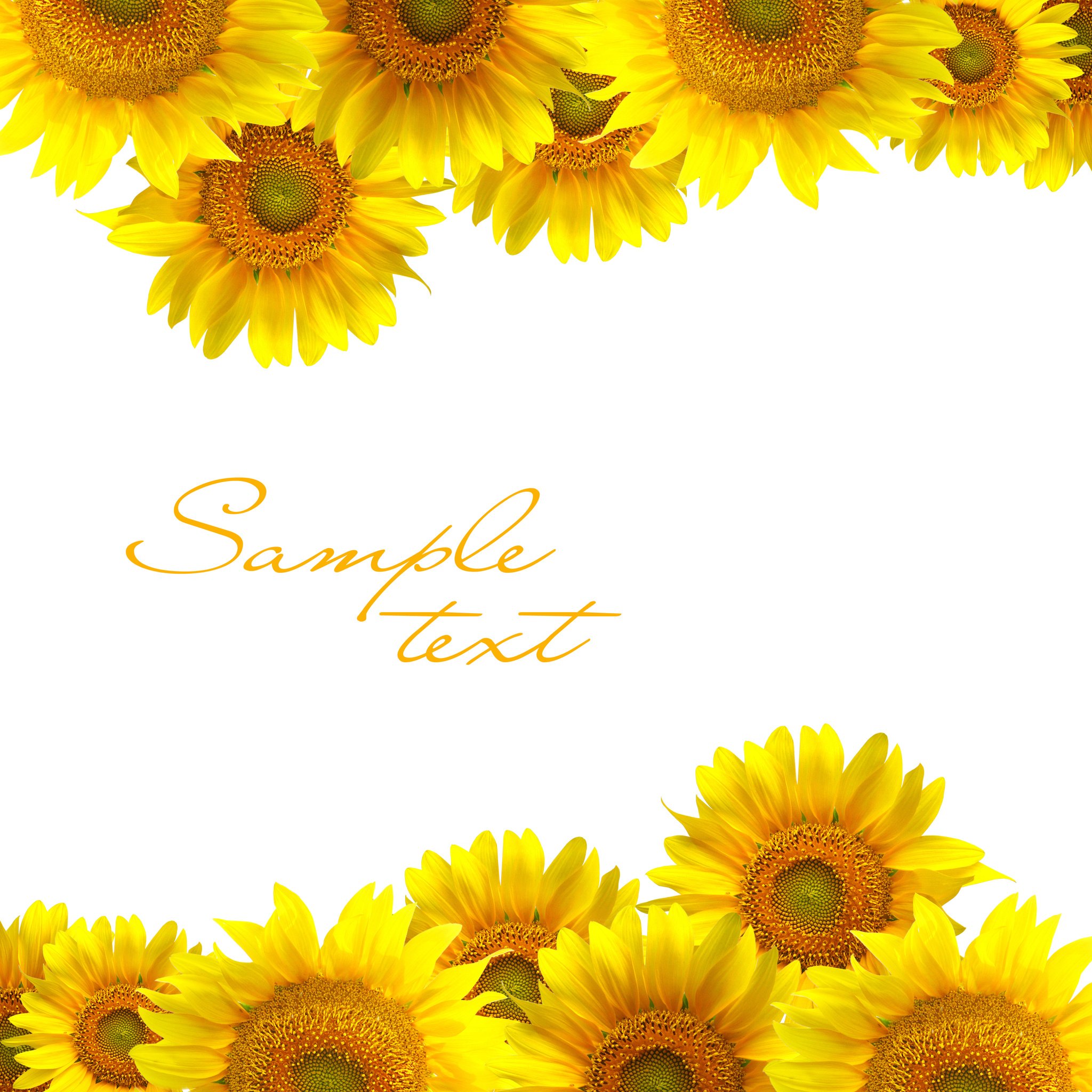 Sunflower symbolizing growth